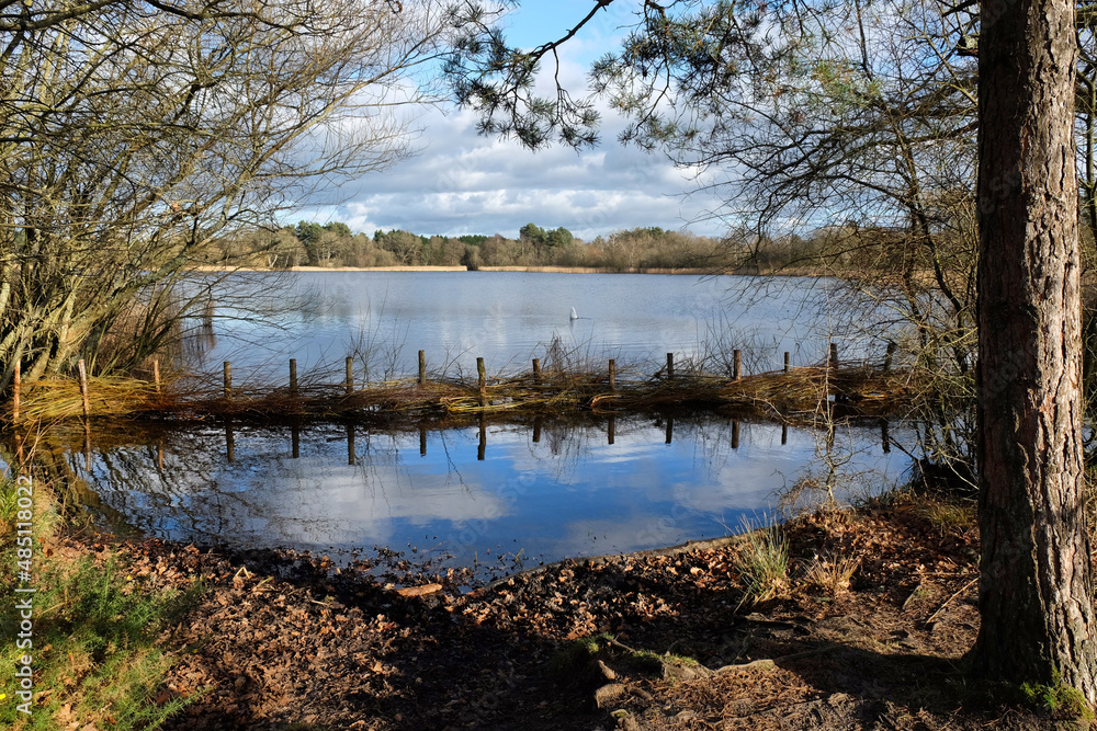 Obraz premium A view over a calm lake on a sunny winterÕs afternoon in Surrey, UK.