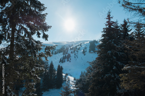 Winter scene, mountains and pine trees on sunny day, at Popova Shapka, Macedonia photo