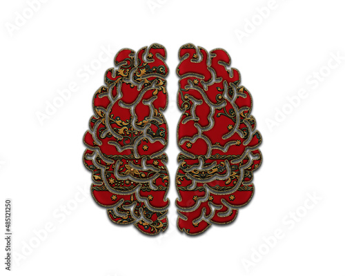 Fototapeta Naklejka Na Ścianę i Meble -  Brain mind symbol Indian Red Sari Saree icon logo illustration