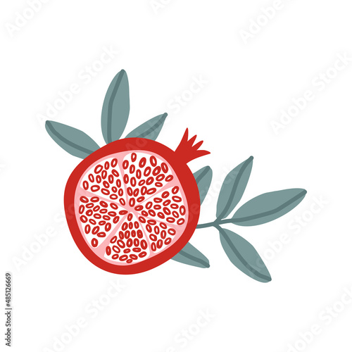 Set of pomegranate fruits and seeds illustration on white background. Jpeg in high resolution for floral design