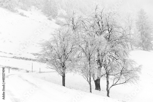 Mostviertel in winter