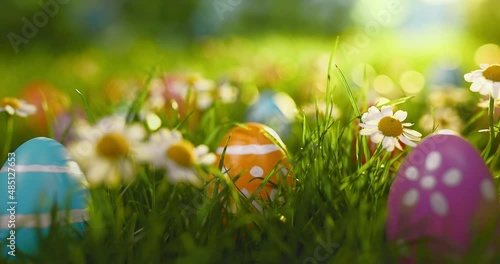 multi-colored easter eggs on grass