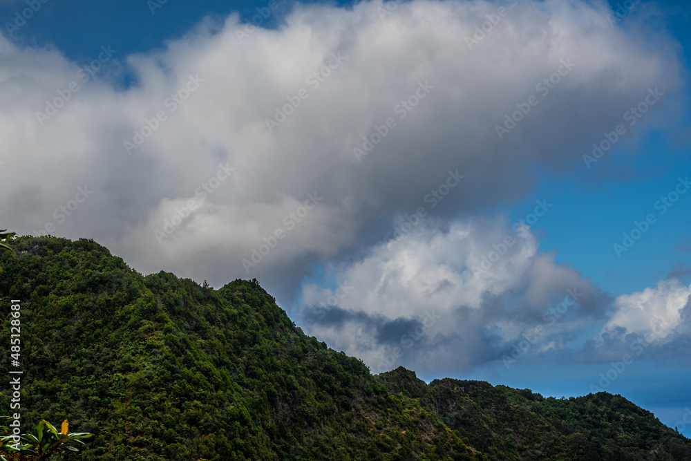 Obraz premium Madeira - Santo António da Serra
