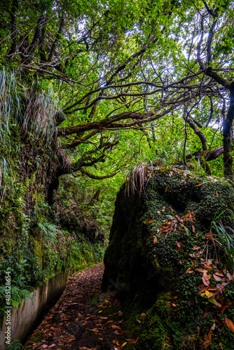 Madeira - Santo Ant  nio da Serra