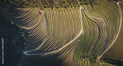 Typical vineyards in the North region of Portugal, showcasing the several different patterns and forms that shape the landscape just by the Douro River photo