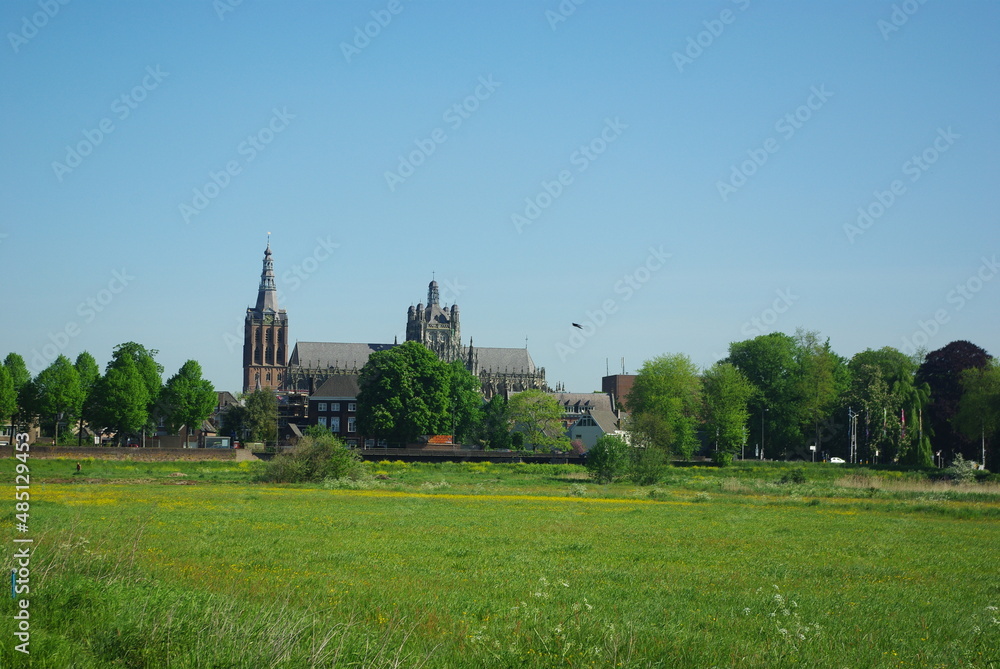 cityscape of 's-hertogenbosch with St John's cathedral, Sint-Janskathedraal 