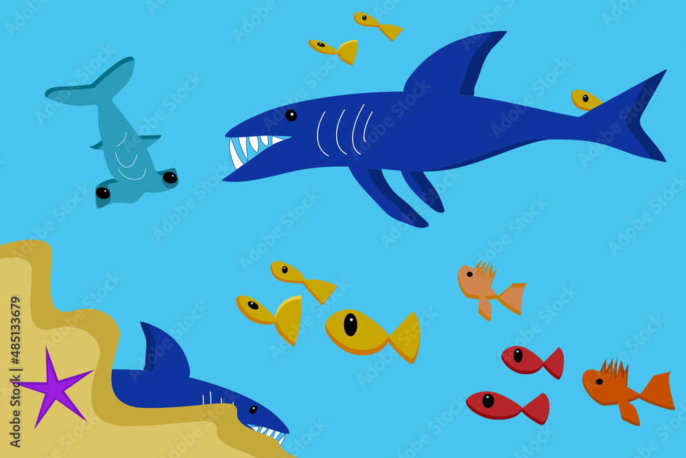 shark and fish shark and fish
