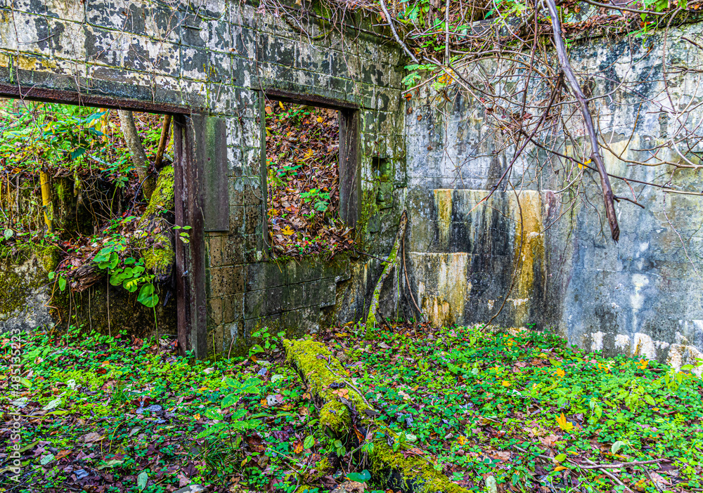 Ghost Town Ruins on The Kaymoor Mine Trail, New River Gorge National Park, West Virginia, USA