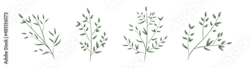 Watercolour green branches with leaves. Botanic decorative elements set. Hand drawn greenery. Vector design elements.