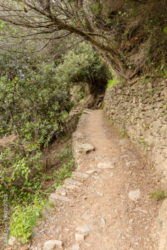 narrow foot parh on coast near Monterosso, Italy photo