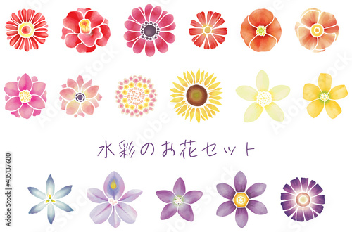 水彩風パステルカラーのお花セット　ベクター素材