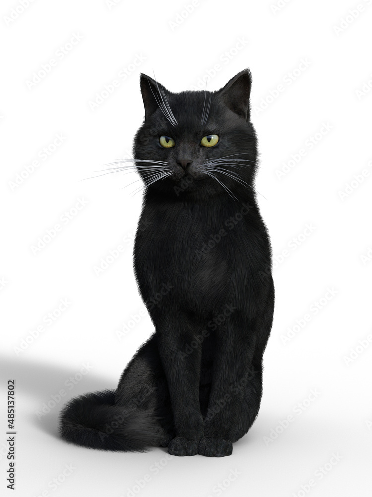 3d render of a charming realistic domestic cat isolated on white