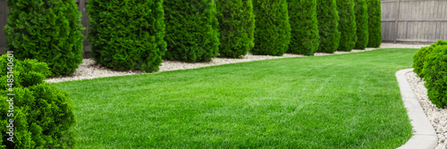 Obraz na płótnie Backyard with natural green grass, fresh lawn w salonie