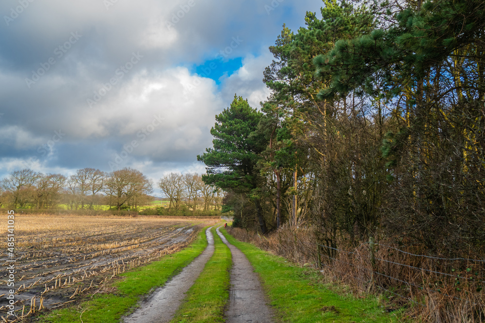 Walking around the Siddings Lane Nature reserve near Rainford in St Helens, Merseyside