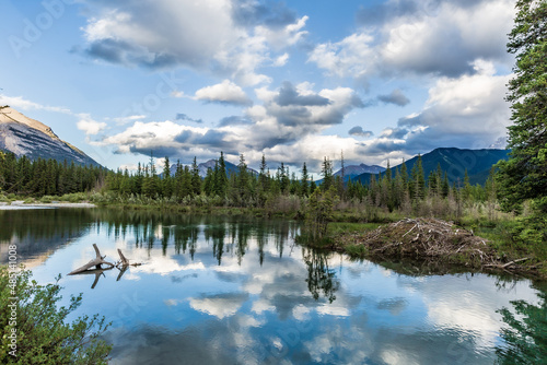 Canmore Canada river beaver ponds with reflections in the glassy water