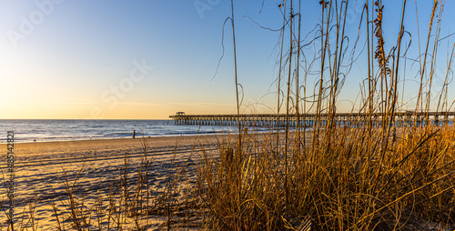 Fototapeta Naklejka Na Ścianę i Meble -  Dune Fence With Sea Oats on Second Avenue Beach, Myrtle Beach, South Carolina, USA