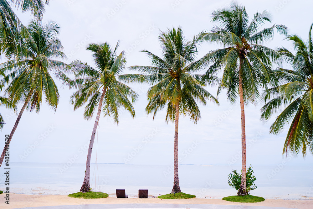 Tropical landscape. Sand beach with coconut palm trees.