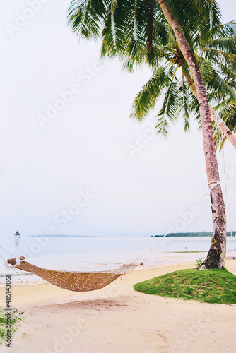 Tranquil vacation. Tropical beach resort with coconut palms and hammock. photo