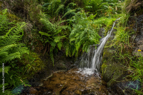 waterfall in the forest