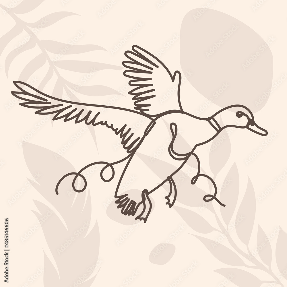 Obraz premium duck flies in one line, contour on an abstract background