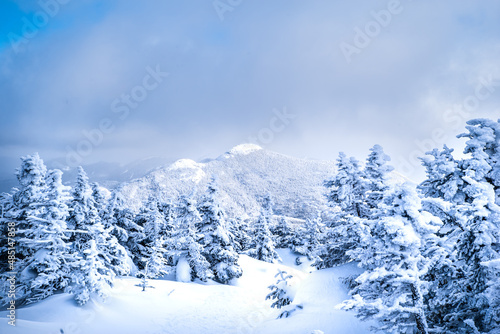 winter landscape with snow © Szymon