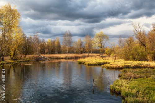 Bright dramatic spring landscape with an old pond, trees on the shore and reflections. Greenery spring sunny landscape with old pond. © sablinstanislav
