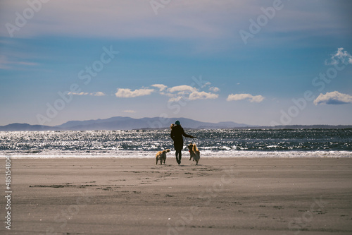 Female walking their dogs on the beach photo