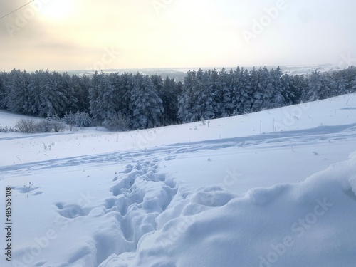 Snowy landscape. Nature in winter