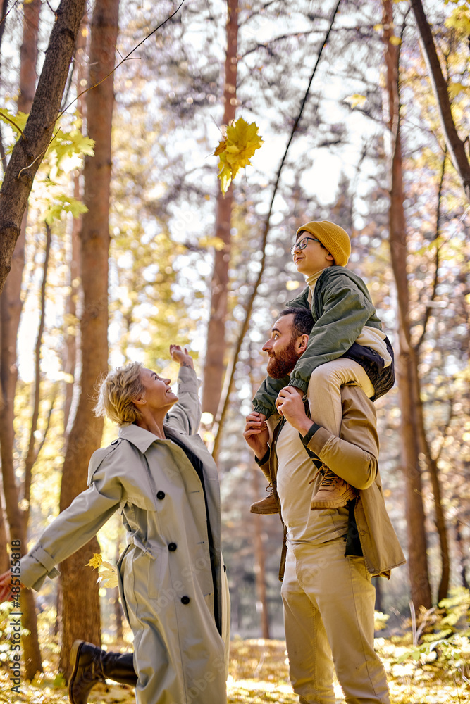 young family with kkid boy in coats autumn outfit walking together in the park, at sunny day. handsome guy holding little kid on shoulders. people lifestyle, family, childhood concept