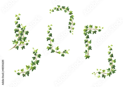 Fotografie, Tablou Ivy  branch with green leaves  frames set, Hand drawn watercolor  illustration i
