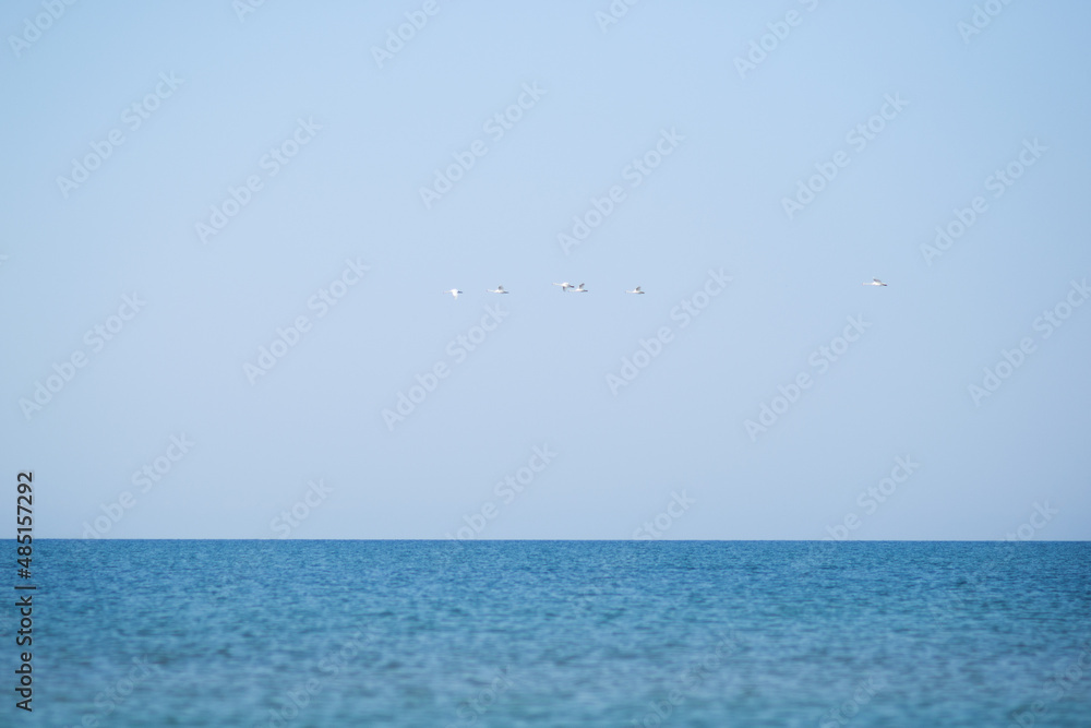 blue sky and sea