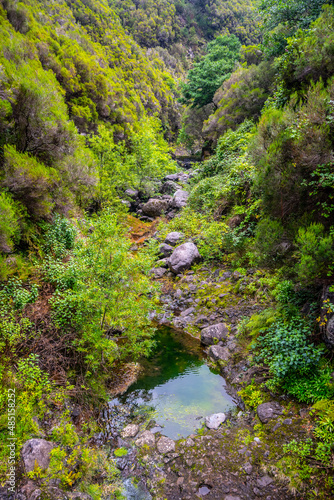 Madeira -Levada do Rocha Vermeilho