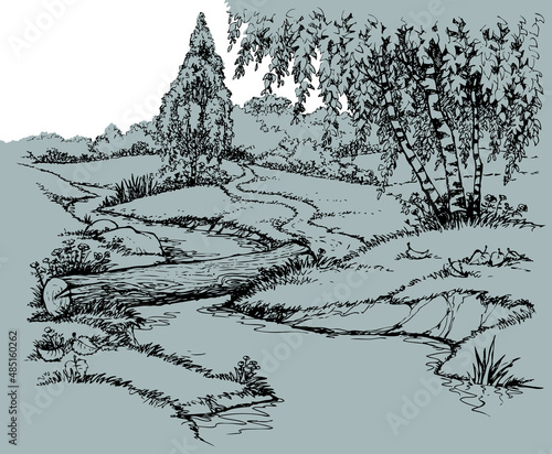 Vector landscape. Birch trees near the trail over the creek
