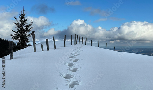 Spuren im Schnee an einem Zaun entlang am Erlbergkopf, Chiemgau, Bayern, Deutschland, Alpen