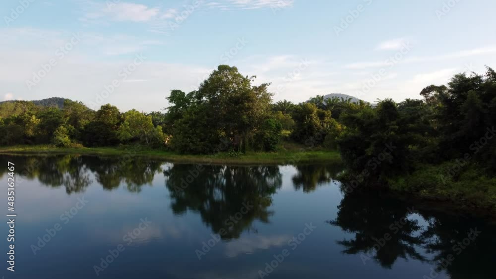 Aerial fly over reflection of tree in water Aerial fly over reflection of tree in water