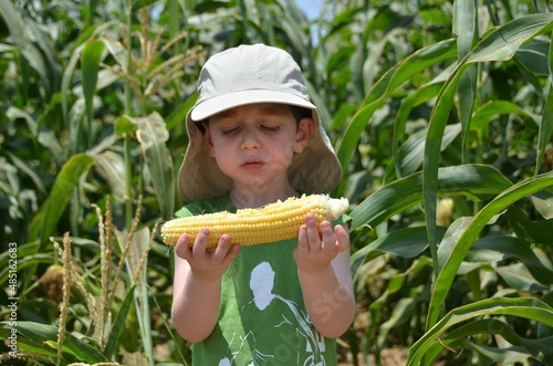 Photos young boy eating corn on the cob in the corn field