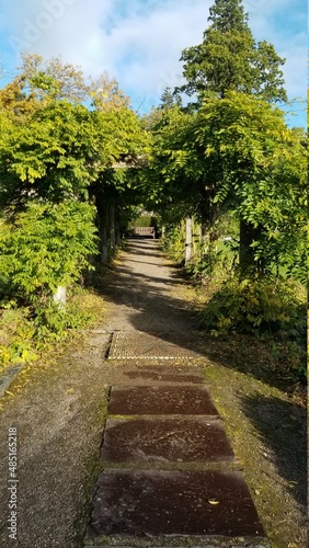 Path to a bench