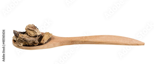 pieces of dried chicory roots in spoon isolated