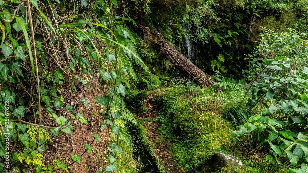 adeira - Levada adeira - Levada