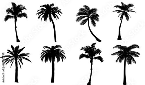 palm tree EPS  palm tree Silhouette  palm tree Vector  palm tree Cut File  palm tree Vector