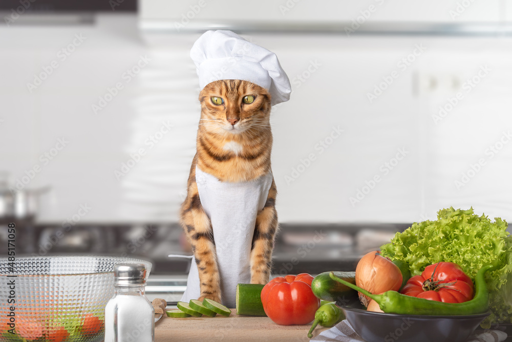 Bengal cat, cutting board and vegetables in the kitchen. Bengal cat, cutting board and vegetables in the kitchen.