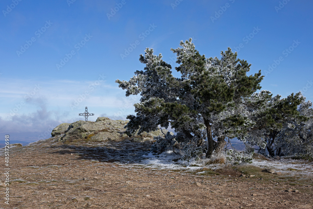 Arbre givré en hiver au sommet d'une montagne avec une croix calvaire sur un rocher des montagnes des Cévennes en France.