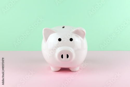 Piggy Bank on Color Block Green and Pink pastel background