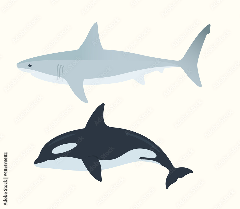 Naklejka premium Shark and orca icon set. Marine animals vector illustration set