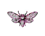 Beekeeper Honey bee Flowers Rose Icon Logo illustration