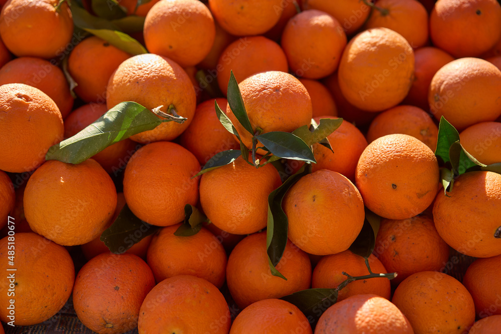 Full Frame Shot Of Oranges. Oranges For Sale At Market Stall. Full Frame Shot Of Oranges. Oranges For Sale At Market Stall.