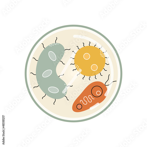 Vector set of germs and bacteria. Icons for medicine.Set of isolated microbes in flat style.Microbes under microscope.