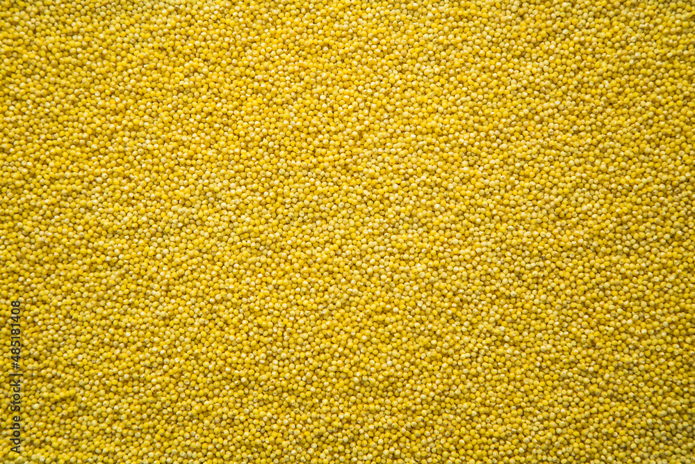 Yellow millet on a background Yellow millet on a background