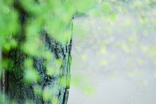 Hintergrund Frühling