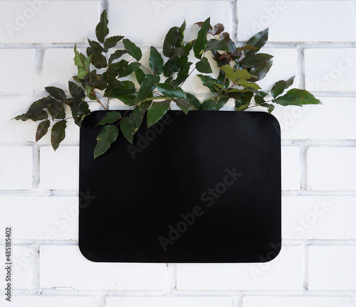 plant and magnetic board on a brick wall